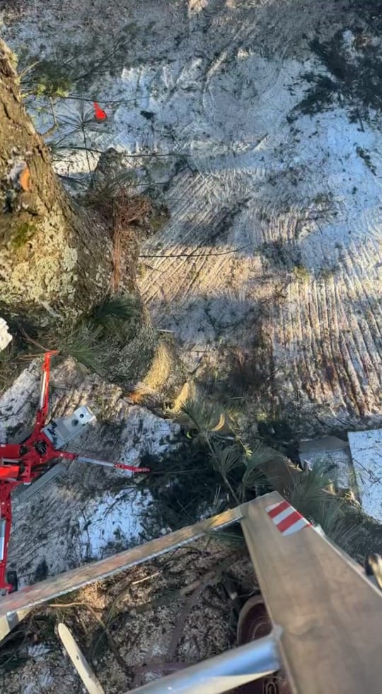 Post 2 by ReidMarsich on TikTok (video)