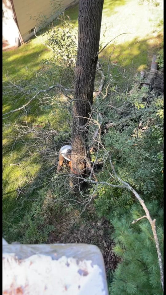 Post 5 by ReidMarsich on TikTok (video)