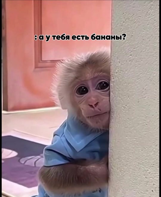 Post 4 by ხოჯავა მარიამ on TikTok (video)
