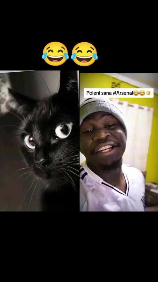 Post 4 by The Champions🔥🔥🔥🔥🔥🔥💙💯 on TikTok (video)