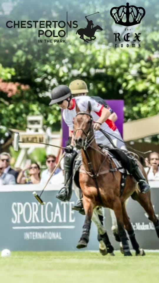Post 8 by The Rex Rooms on TikTok (video)
