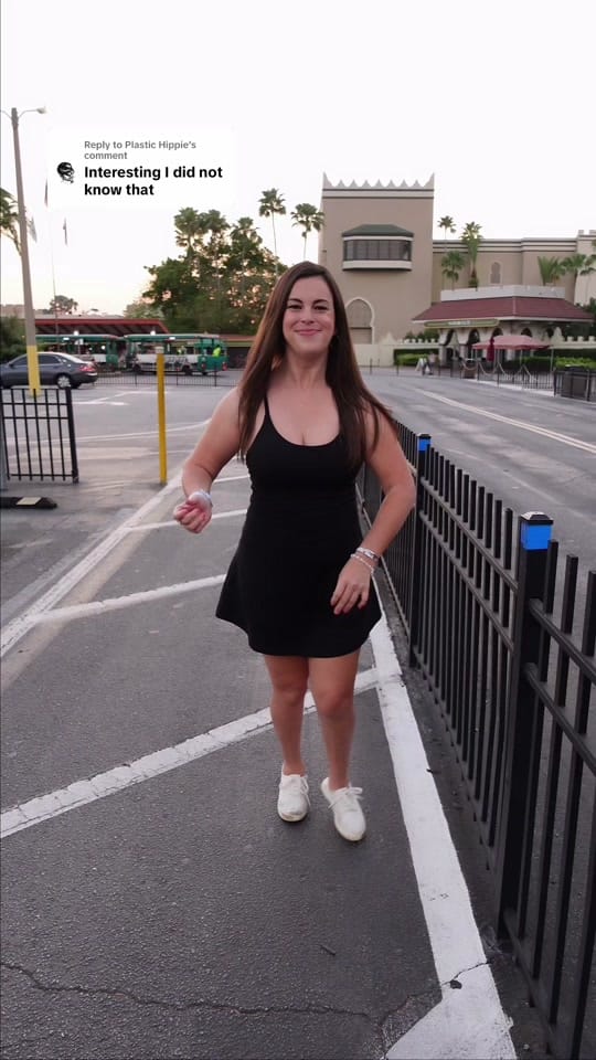 Post 9 by Chelsea Bear on TikTok (video)