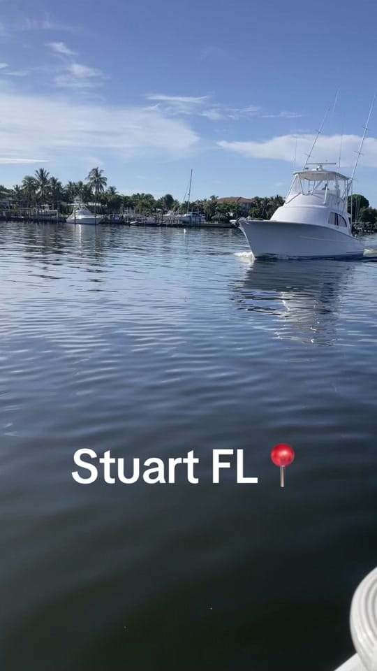 Post 8 by CG on TikTok (video)