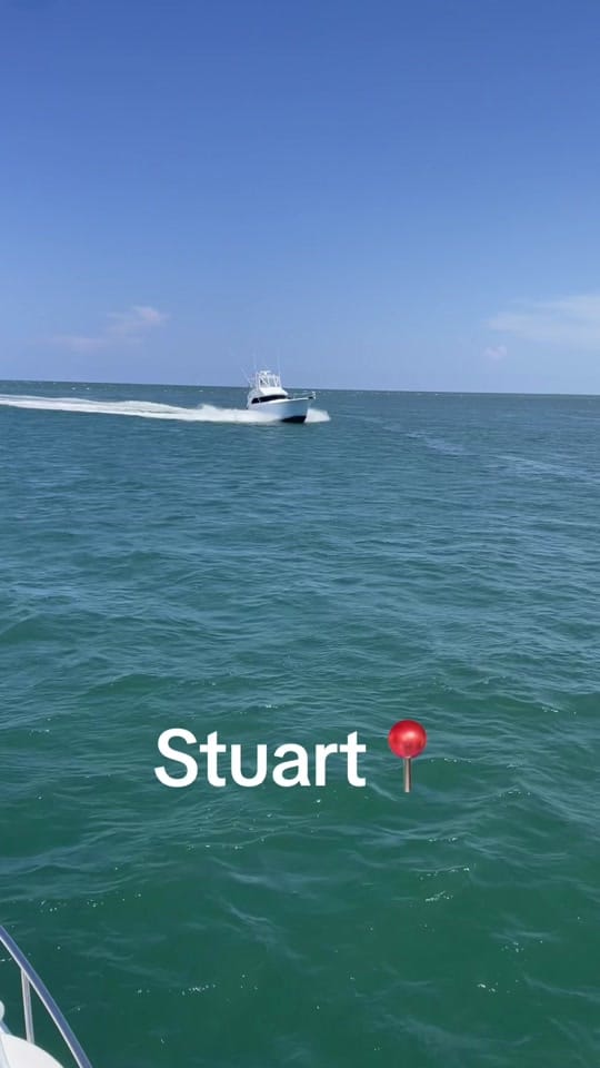 Post 3 by CG on TikTok (video)