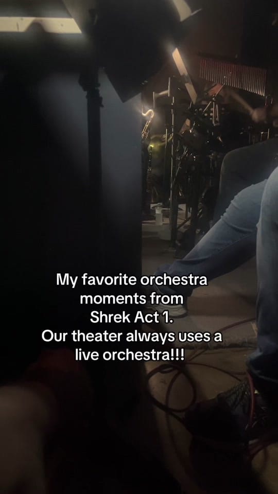 Post 2 by Ms. Bradford on TikTok (video)