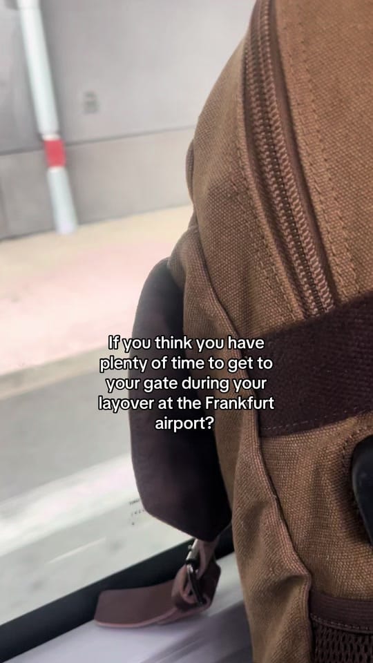Post 5 by Ms. Bradford on TikTok (video)