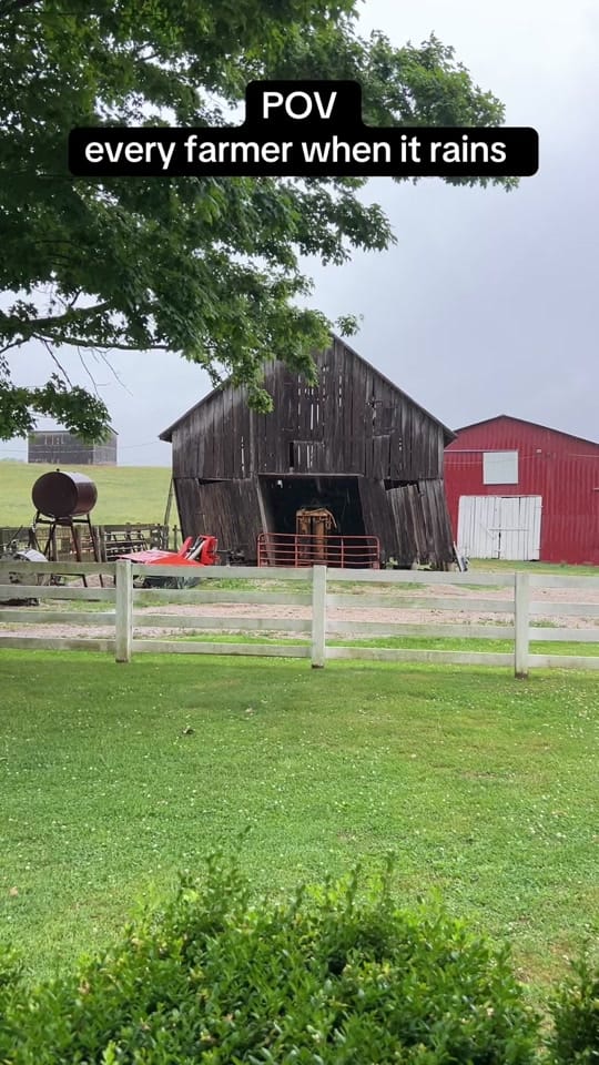 Post 3 by Ryne Brashear on TikTok (video)