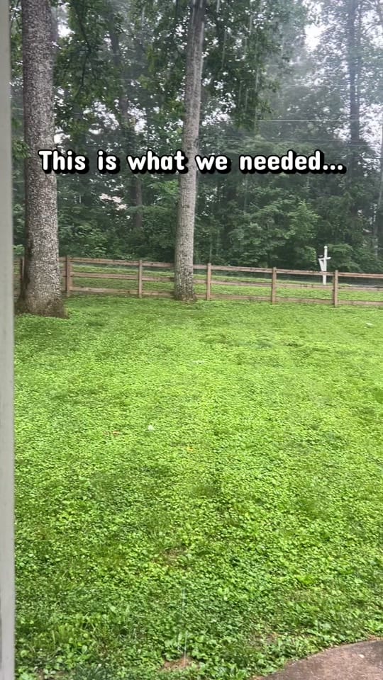 Post 1 by Ryne Brashear on TikTok (video)