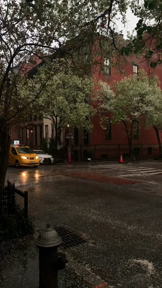 Post 9 by chelseaahogann on TikTok (video)