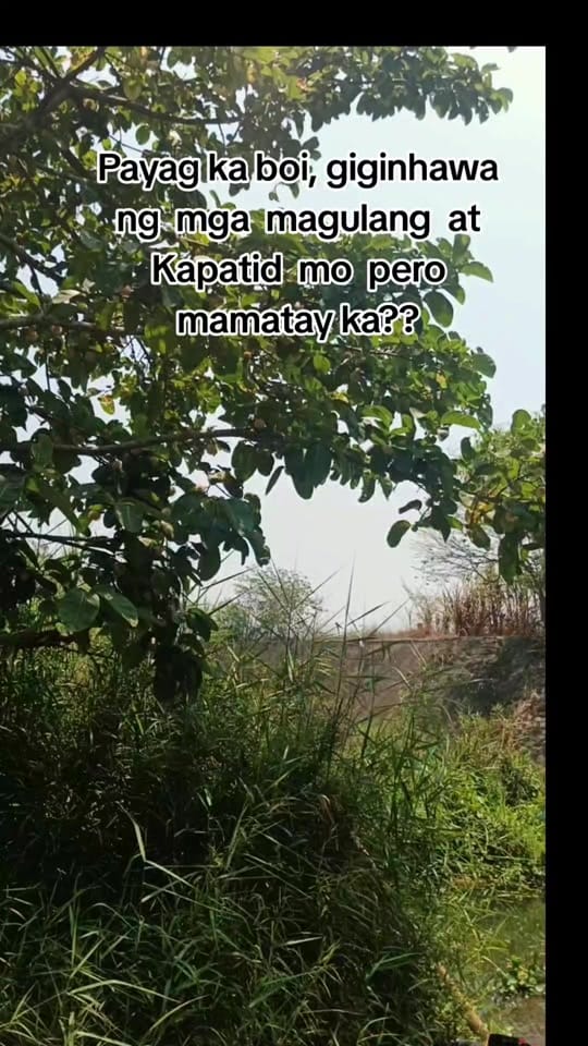 Post 3 by OSA   '    GIAN • on TikTok (video)