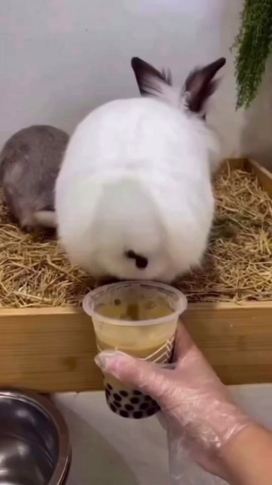 Post 10 by Javier Knight on TikTok (video)