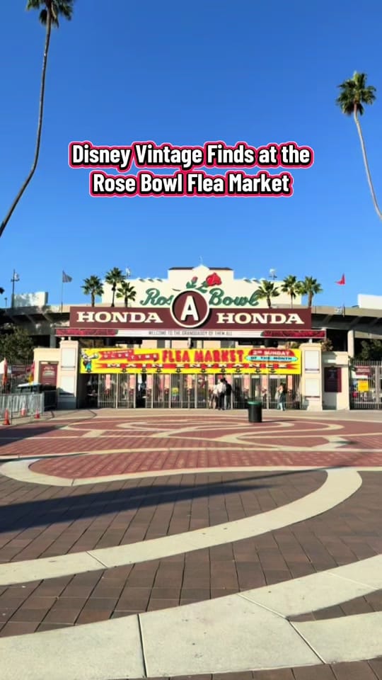 Post 10 by chelsea.sue_ on TikTok (video)