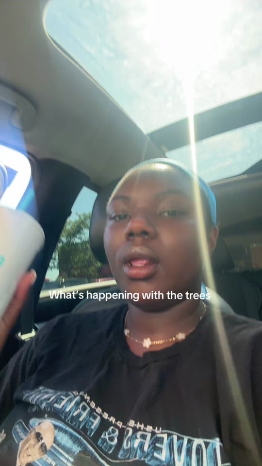 Post 2 by She’s Bomb on TikTok (video)