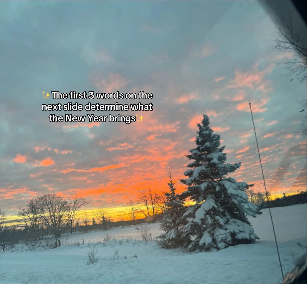 Post 8 by Emmeline | UGC Creator on TikTok (video)