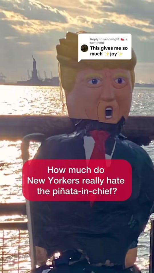 Post 10 by healthcareshouldbefree on TikTok (video)