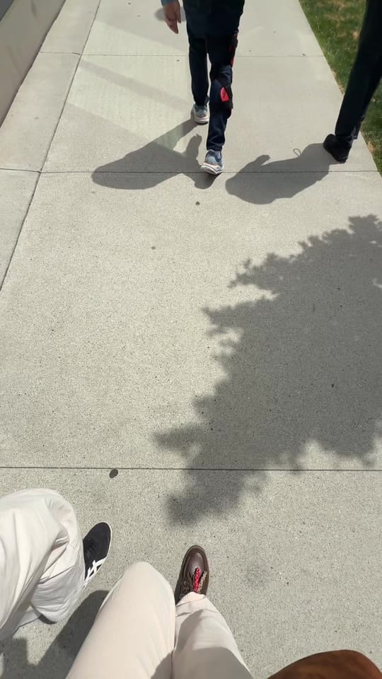Post 9 by zahné on TikTok (video)