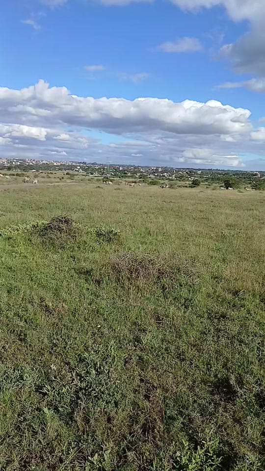Post 9 by Midworld city on TikTok (video)