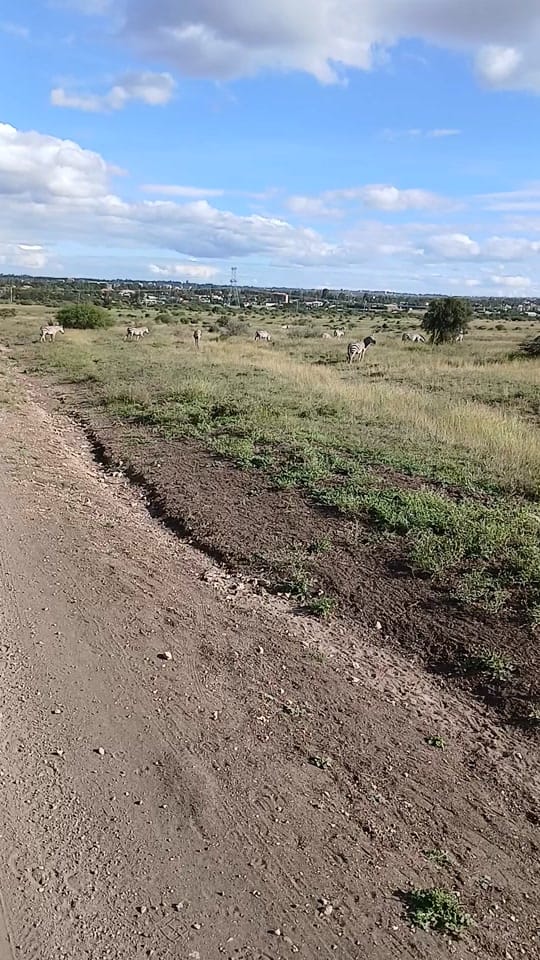 Post 8 by Midworld city on TikTok (video)