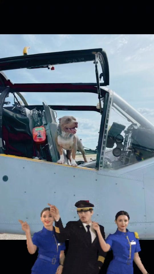 Post 7 by Da Nile Delta Bullies on TikTok (video)