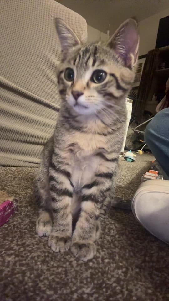Post 1 by Aubry Rae on TikTok (video)