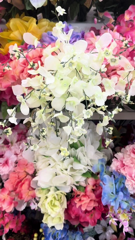 Post 5 by Chelsea adrianzen on TikTok (video)