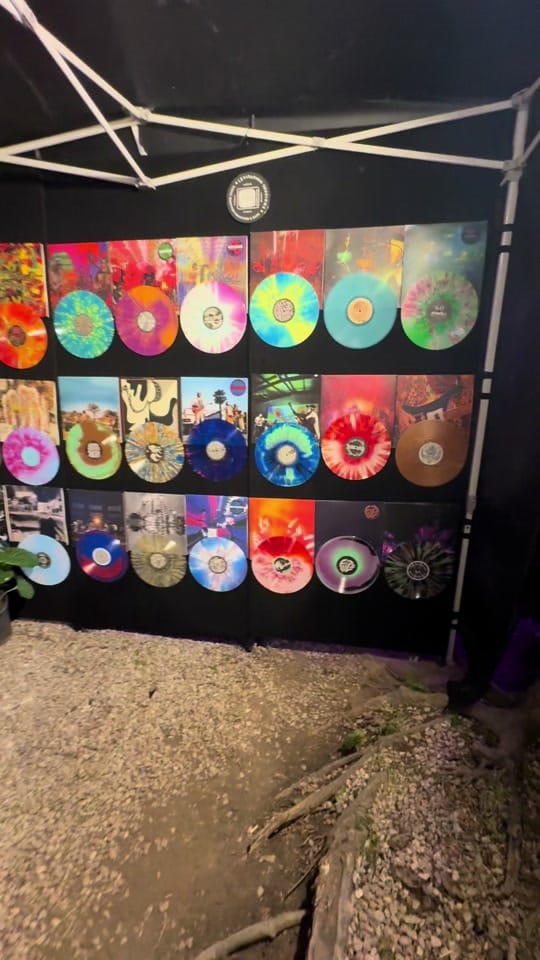Post 5 by goldrushvinyl on TikTok (video)