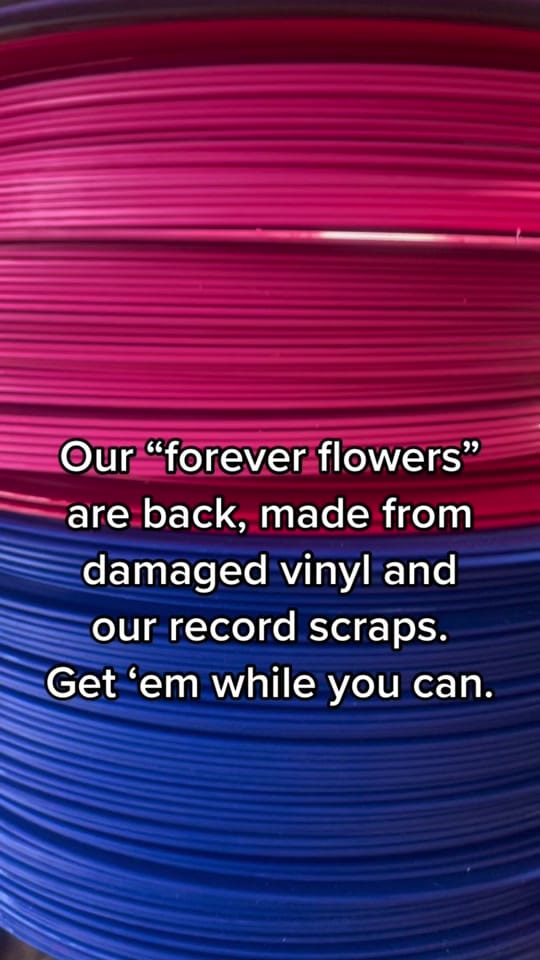 Post 10 by goldrushvinyl on TikTok (video)
