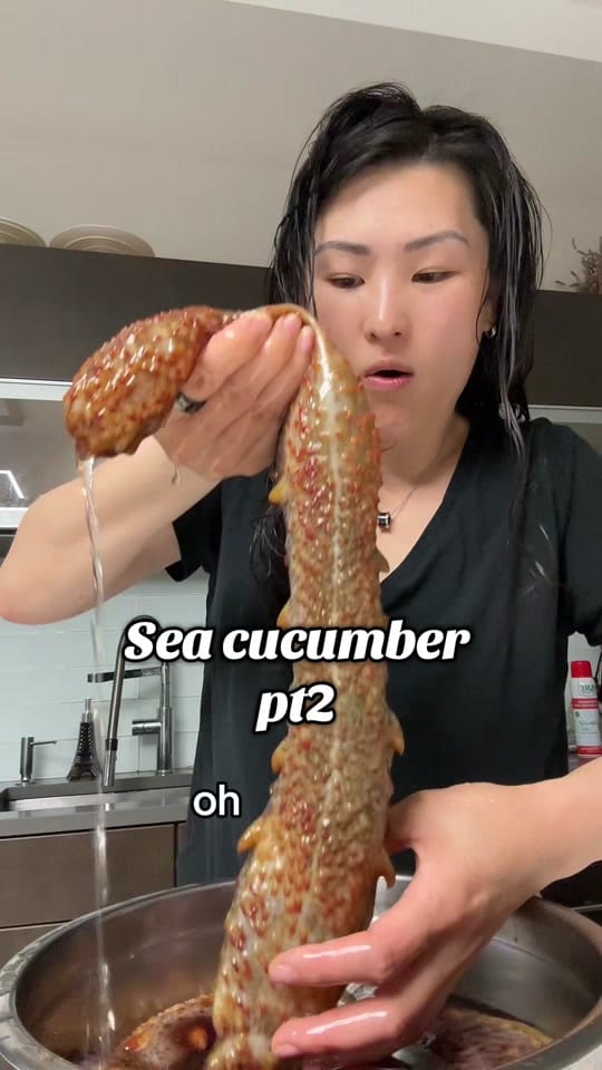 Post 8 by Annie Niu on TikTok (video)