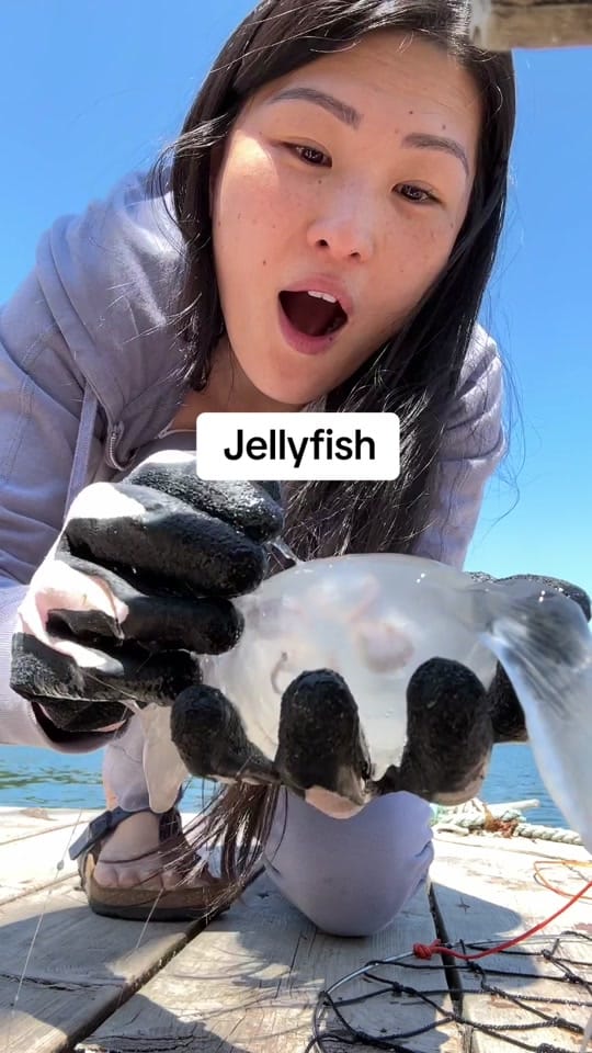 Post 10 by Annie Niu on TikTok (video)