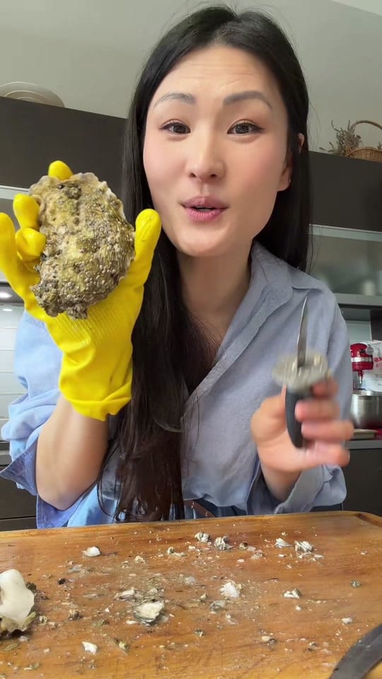 Post 4 by Annie Niu on TikTok (video)
