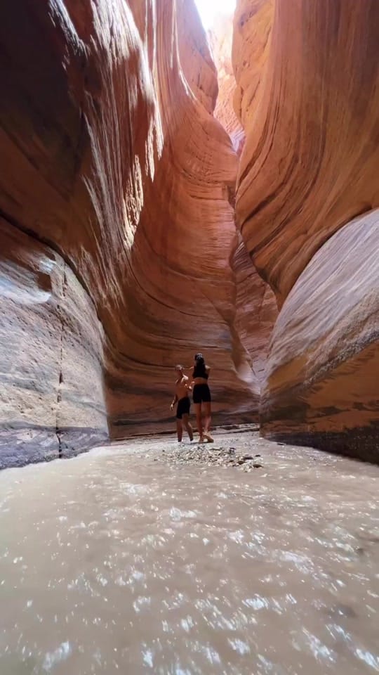 Post 1 by Chelseakauai on TikTok (video)