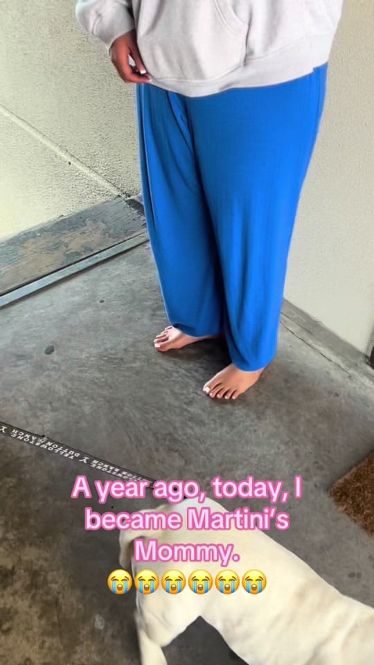 Post 4 by The annoying orange 😟 on TikTok (video)