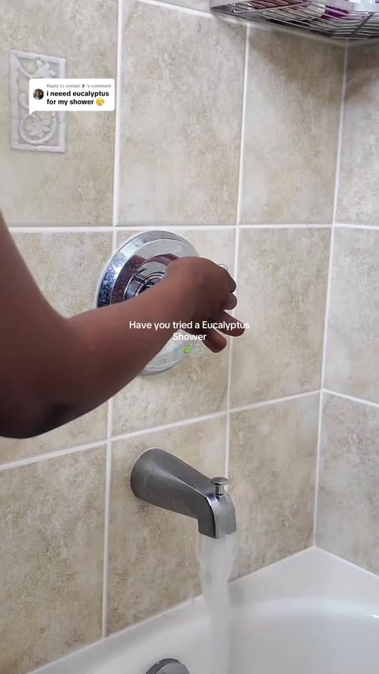 Post 10 by stush.b on TikTok (video)