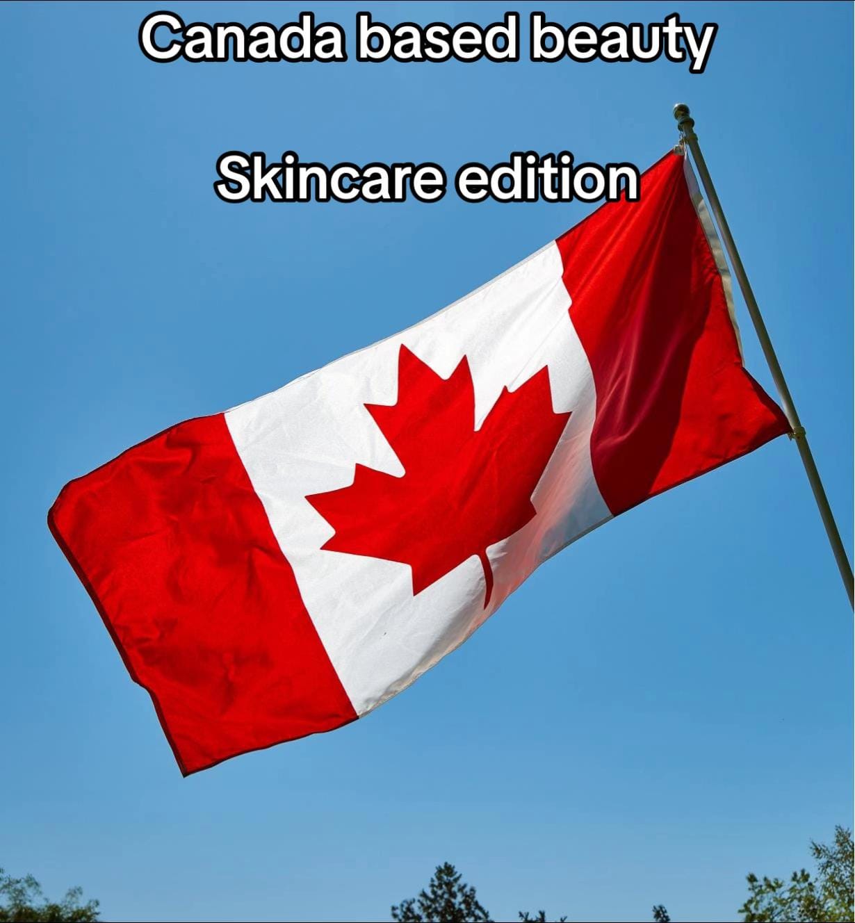 Post 10 by Xuxu beauty 🇨🇦 on TikTok (video)