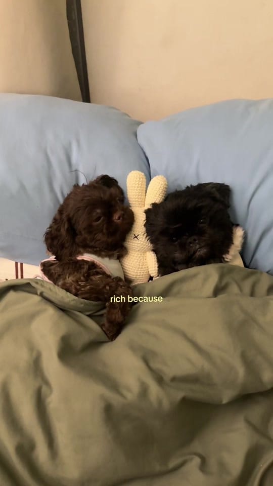 Post 6 by chelsea valencia on TikTok (video)