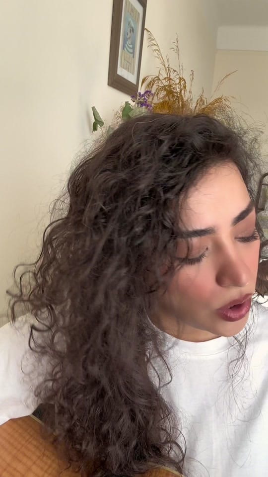 Post 7 by roya_rizvan on TikTok (video)