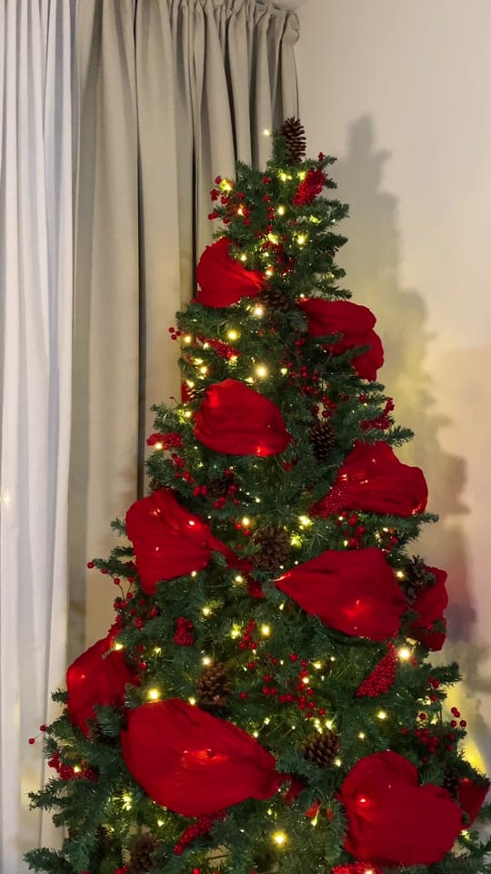 Post 5 by Jasmine Boateng on TikTok (video)