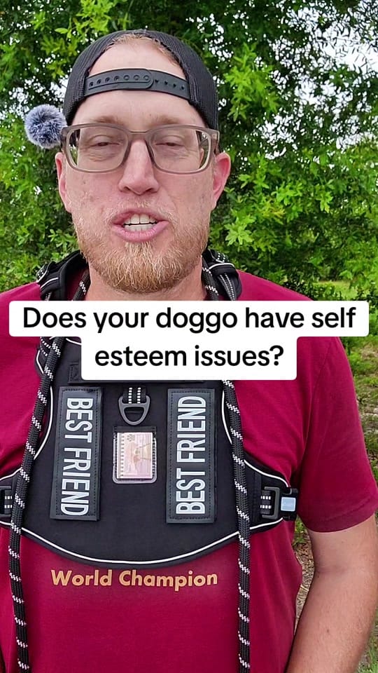 Post 7 by JimmieJam❌️ on TikTok (video)