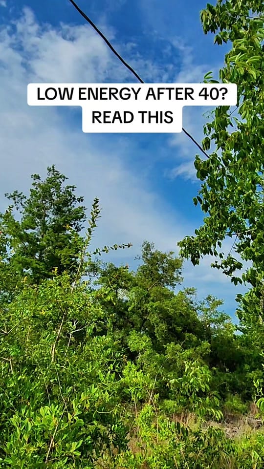 Post 1 by JimmieJam❌️ on TikTok (video)