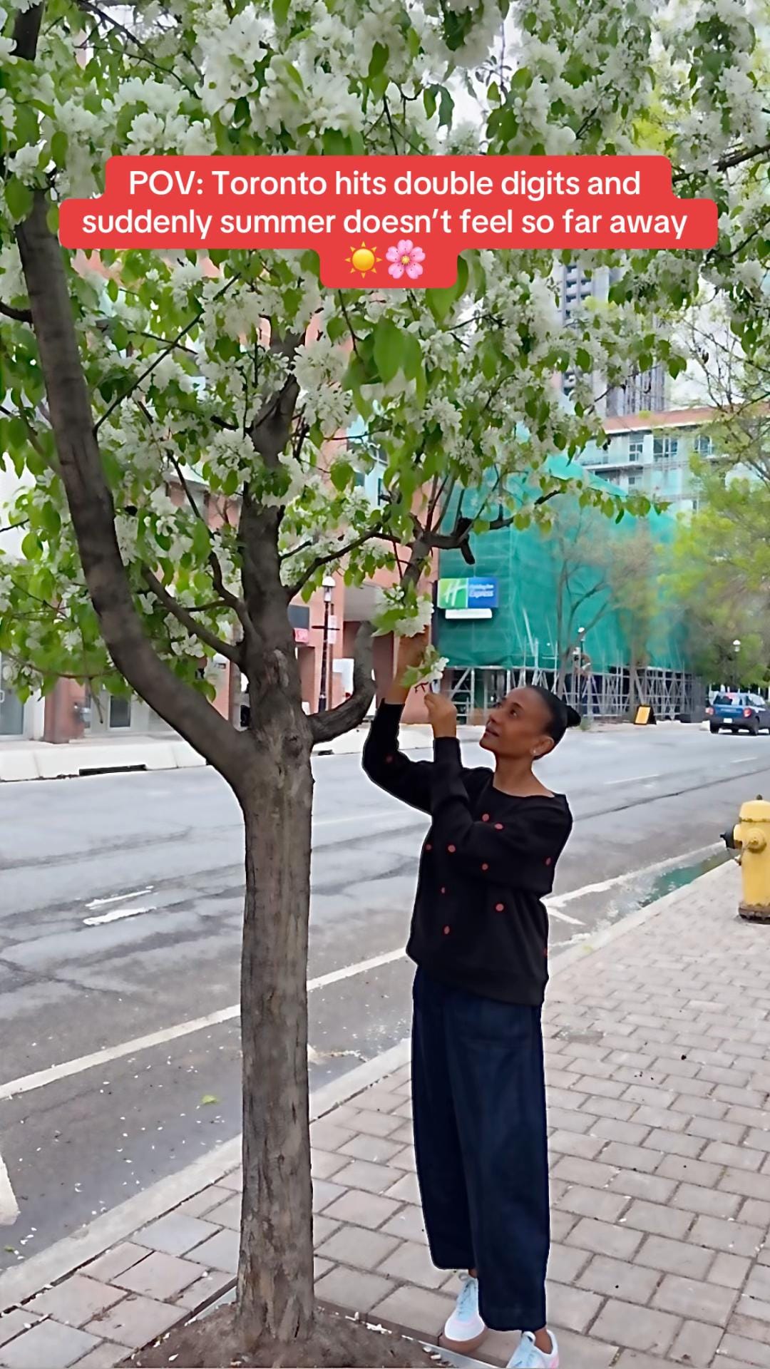 Post 10 by Vimisha | Skin Glow Lifestyle on TikTok (video)