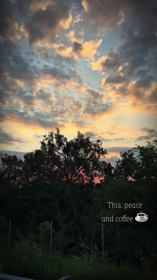 Post 7 by Dezzy on TikTok (video)