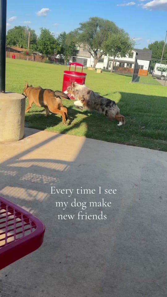 Post 4 by MISCA on TikTok (video)