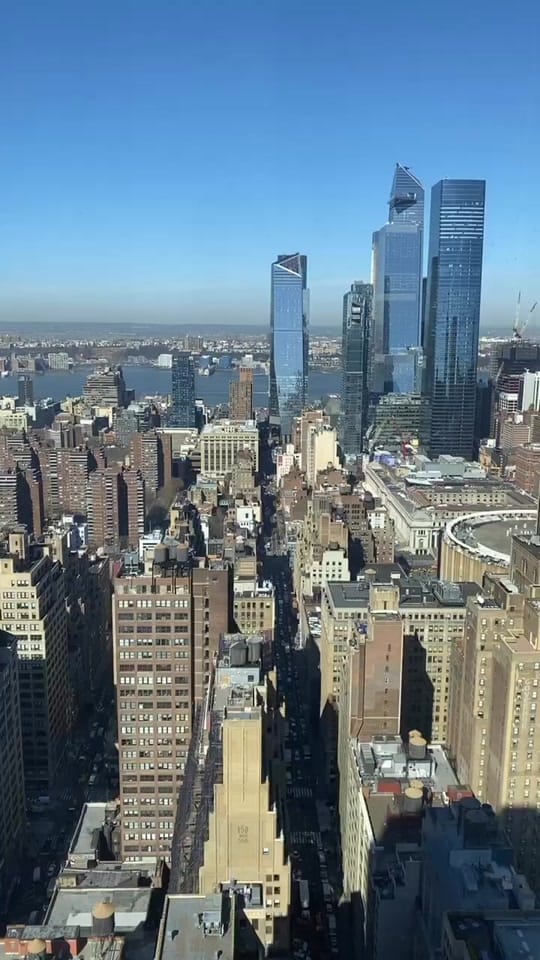 Post 10 by chelseatheyorkie on TikTok (video)
