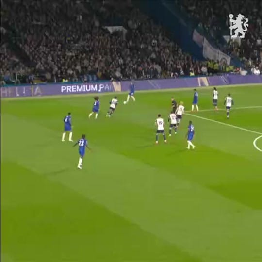 Post 2 by Blueblood💙 on TikTok (video)