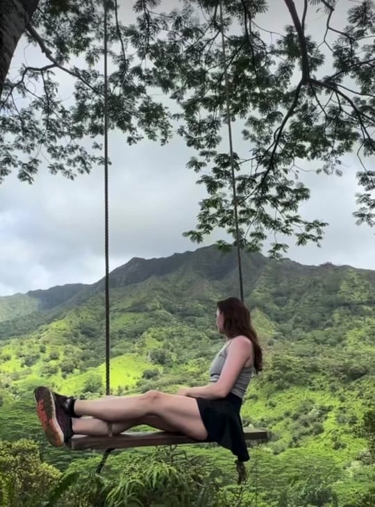 Post 5 by Taylor Krasne on TikTok (video)