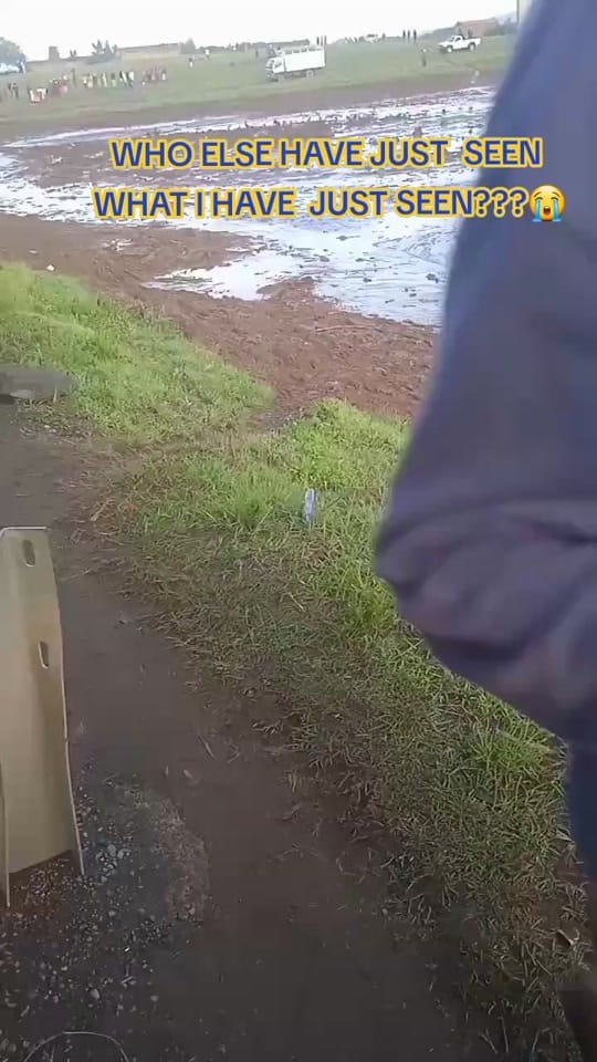 Post 9 by Alom Bakii💪🇰🇪🇰🇪 on TikTok (video)