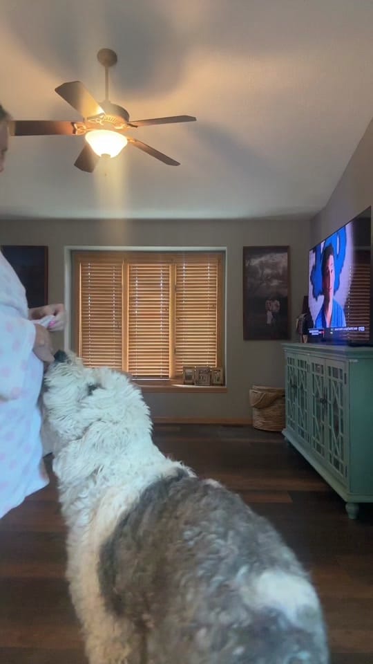 Post 1 by 💕Miss Ashley💕 on TikTok (video)
