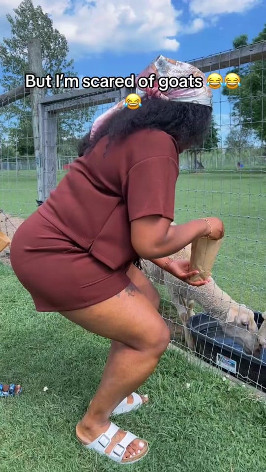 Post 1 by Tanisha | Beauty & Lifestyle on TikTok (video)