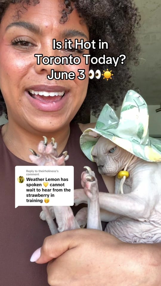 Post 7 by samanthajaneyt🇨🇦 on TikTok (video)
