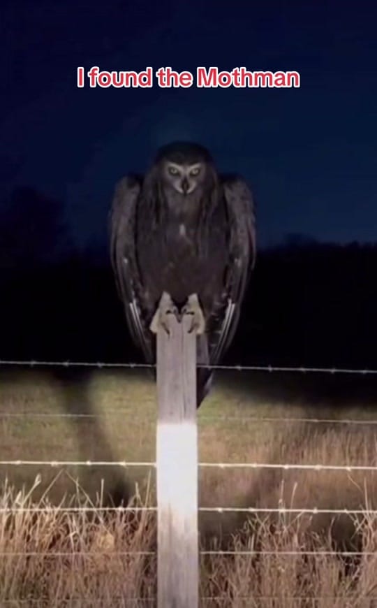 Post 8 by MidnightMonsterFiles on TikTok (video)